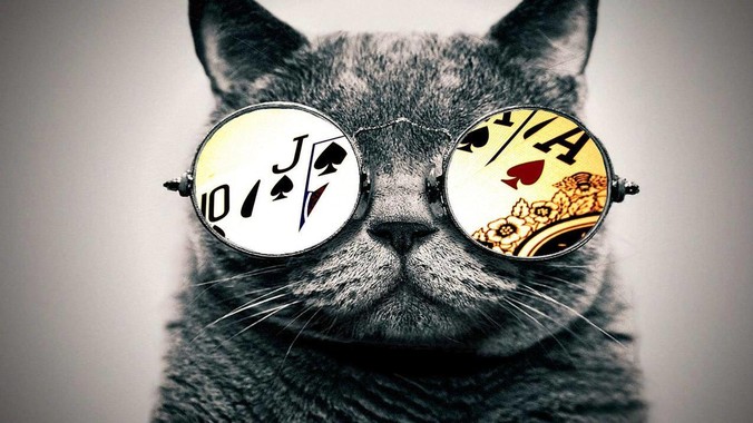 迷茫。J***a还是.net？